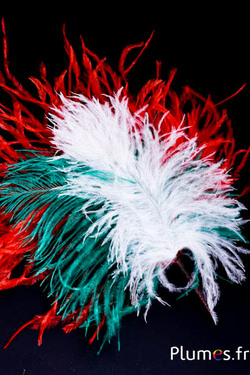 Plumet autruche - hauteur 18 cm - blanc-vert-rouge